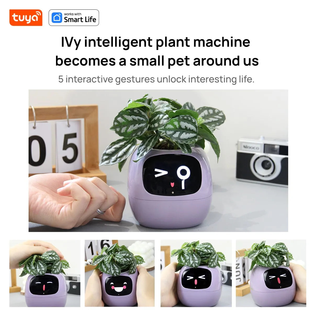 Ivy Smart Planter, Raising Plants Easy and Fun