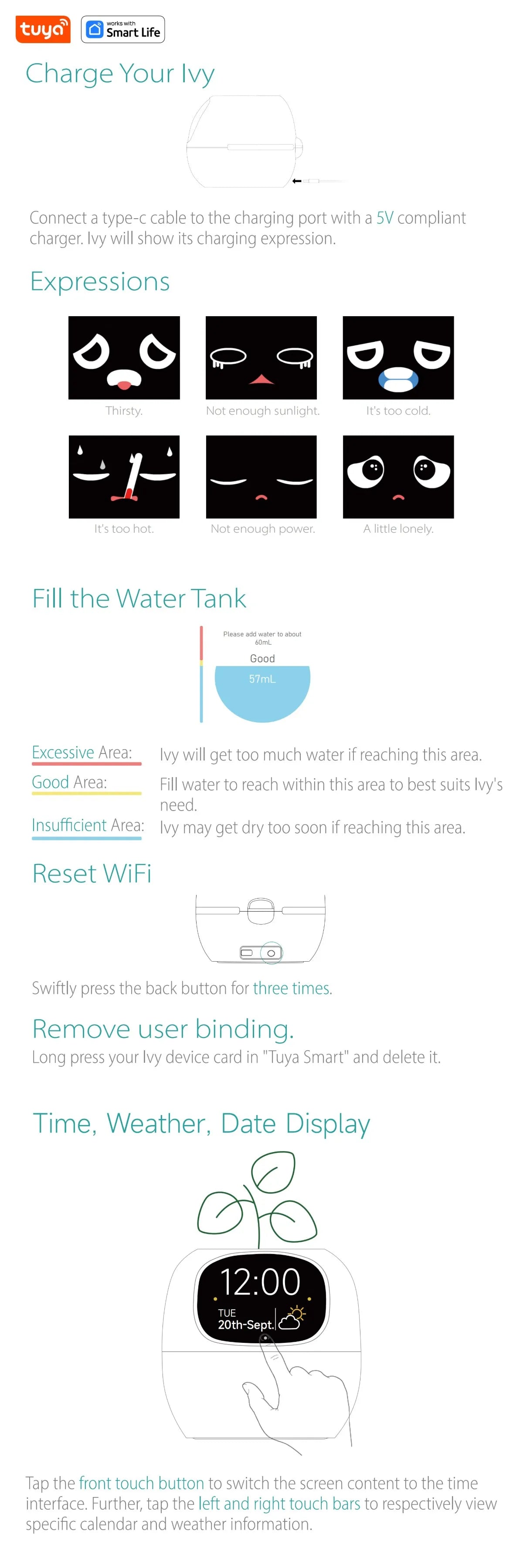 Ivy Smart Planter, Raising Plants Easy and Fun