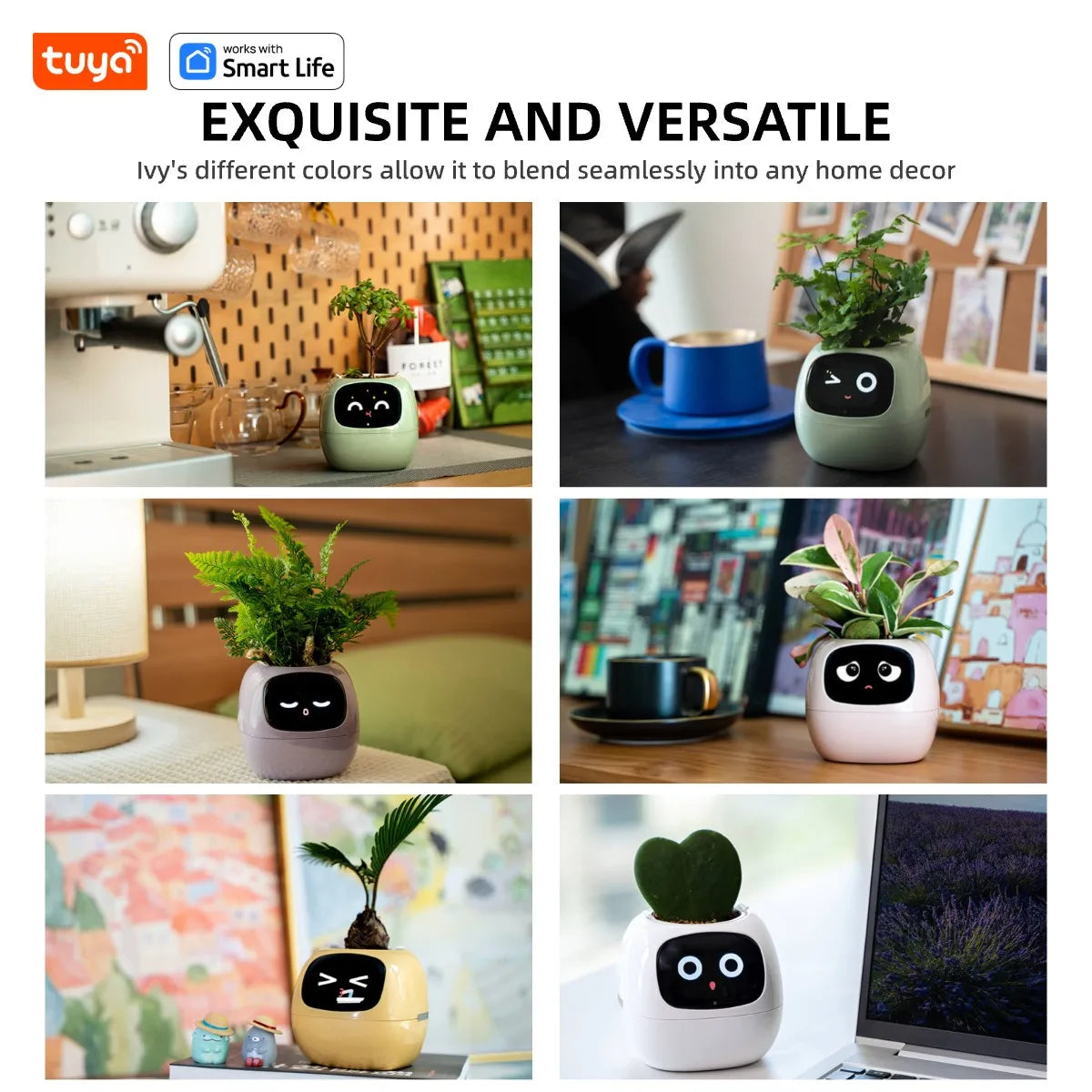 Ivy Smart Planter, Raising Plants Easy and Fun