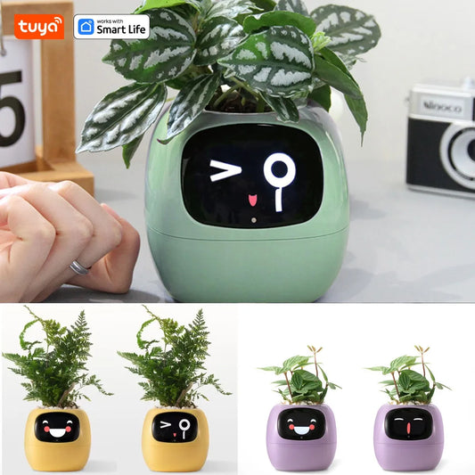 Ivy Smart Planter, Raising Plants Easy and Fun